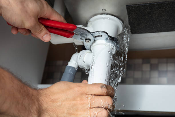 Best Mold removal after water damage  in Hebron Estates, KY