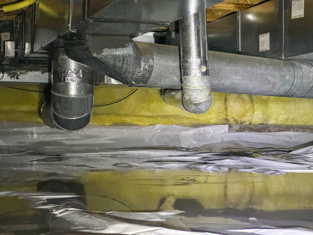 Best Water damage contractors near me  in Hebron Estates, KY