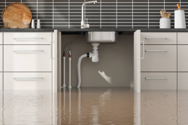 Best Water damage restoration specialists  in Hebron Estates, KY
